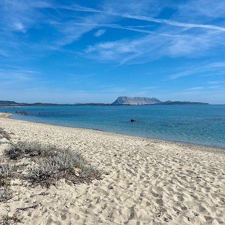 Iss Travel, San Teodoro 1 - 100 M From Cala D'Ambra Beach מראה חיצוני תמונה