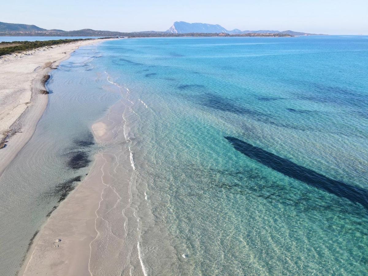 Iss Travel, San Teodoro 1 - 100 M From Cala D'Ambra Beach מראה חיצוני תמונה