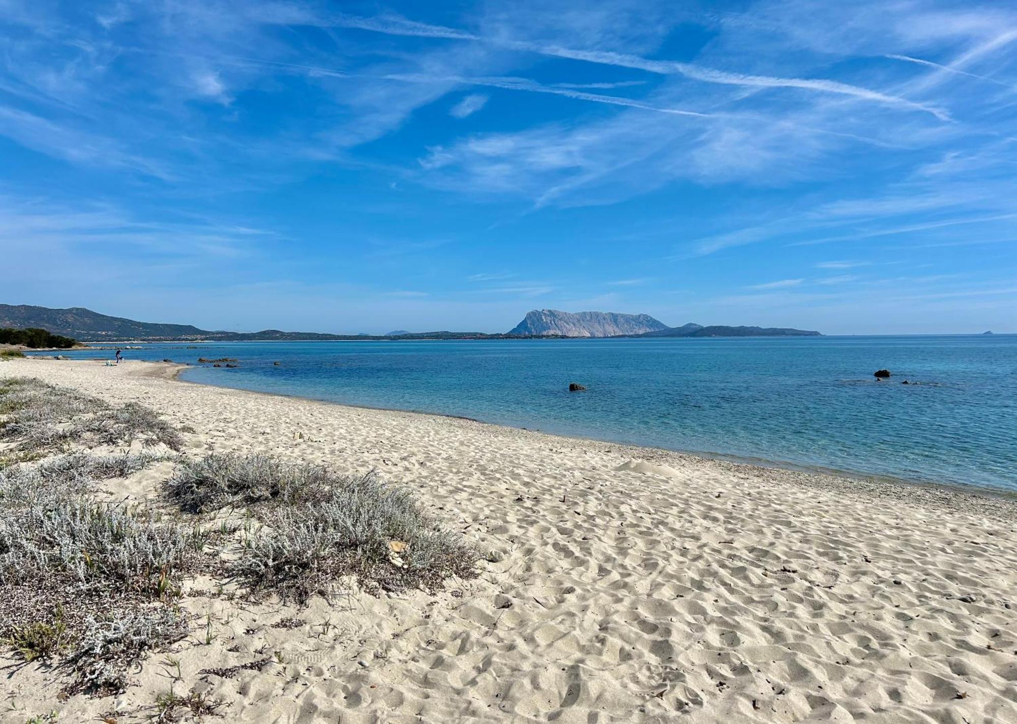Iss Travel, San Teodoro 1 - 100 M From Cala D'Ambra Beach מראה חיצוני תמונה
